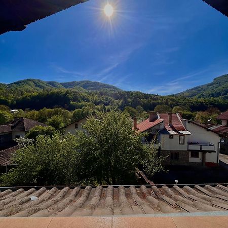Luylyana Guesthouse Ribaritsa Eksteriør bilde