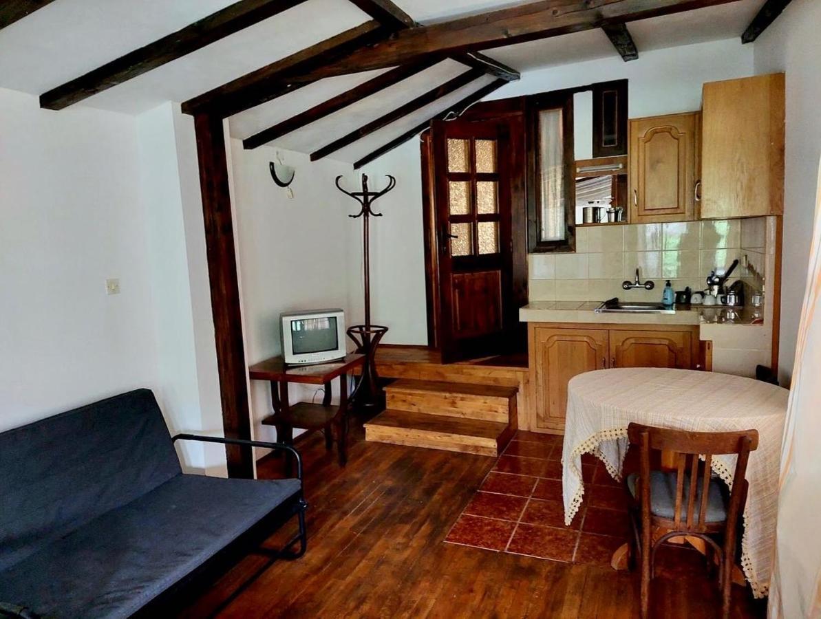 Luylyana Guesthouse Ribaritsa Eksteriør bilde