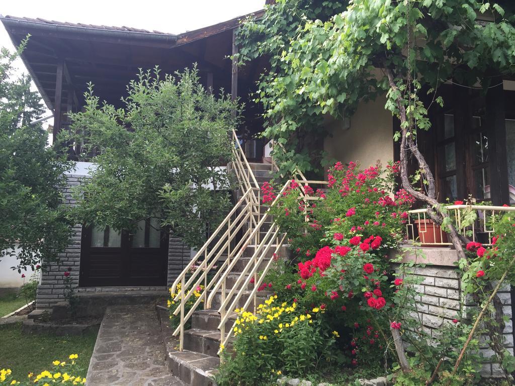 Luylyana Guesthouse Ribaritsa Eksteriør bilde