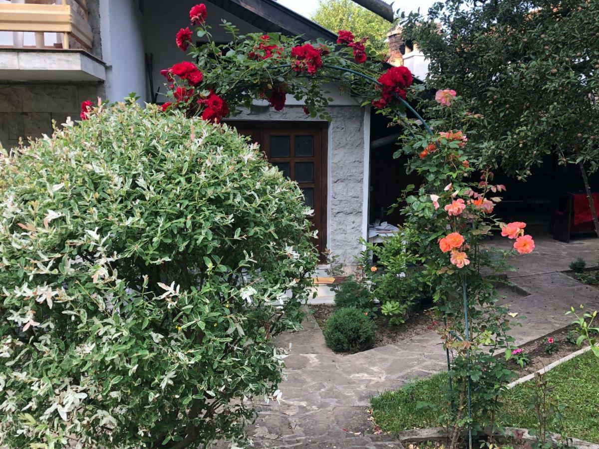 Luylyana Guesthouse Ribaritsa Eksteriør bilde