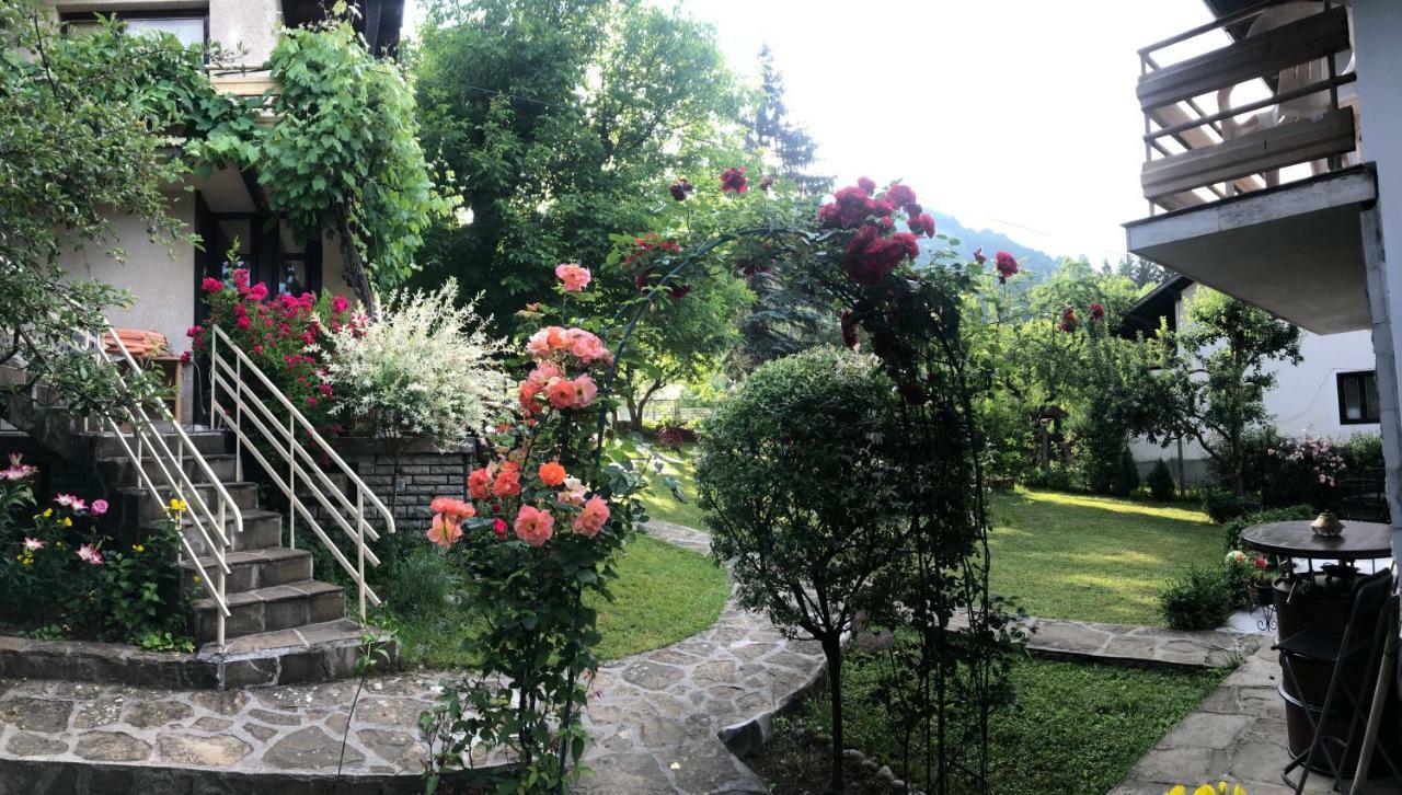 Luylyana Guesthouse Ribaritsa Eksteriør bilde